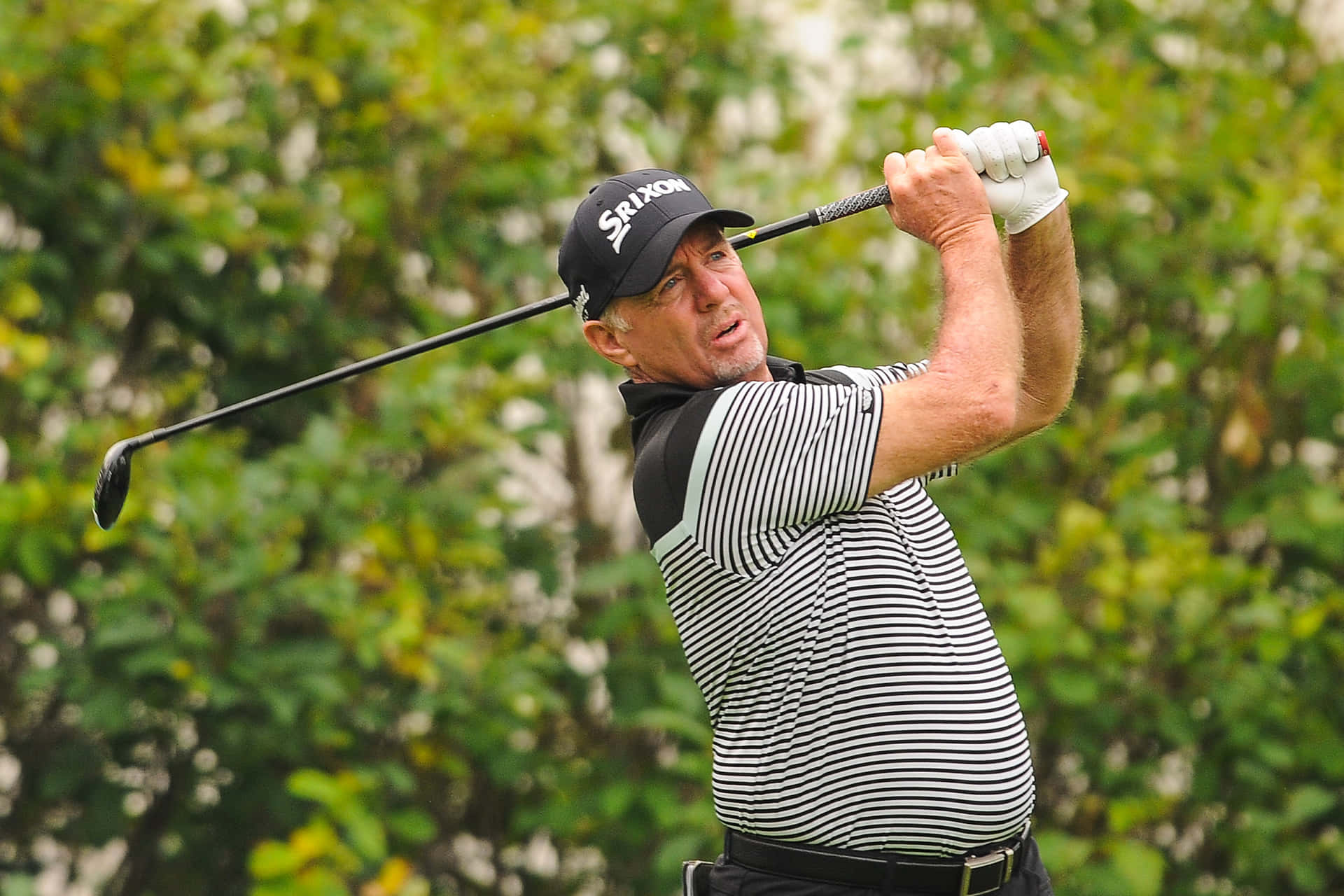 Rod Pampling Wearing Striped Shirt