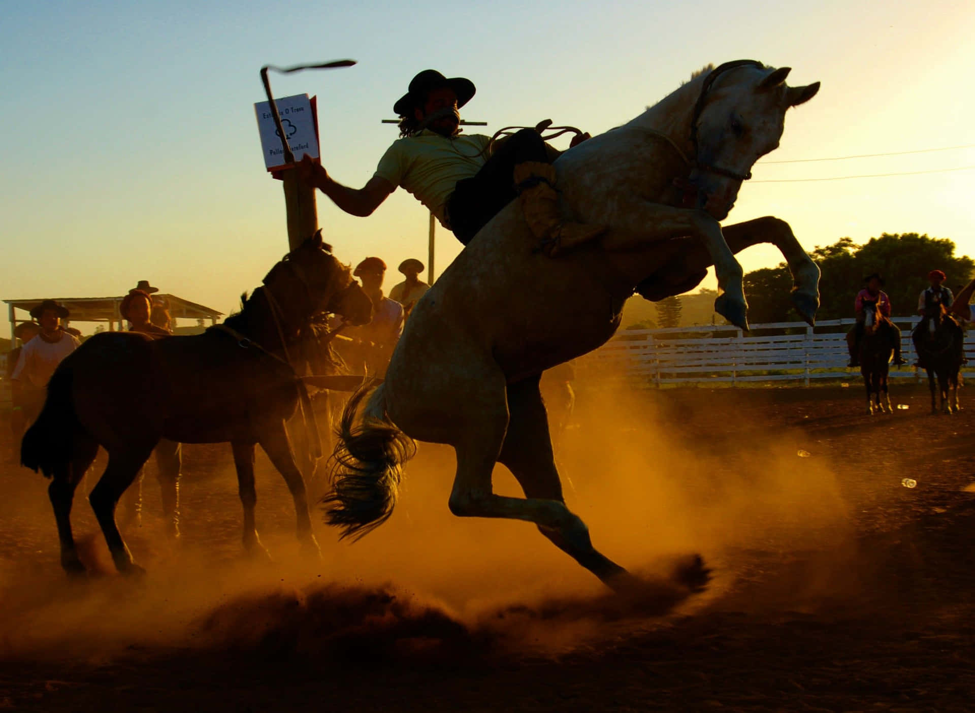 Rodeo Cowboy Rearing Up A Horse Background