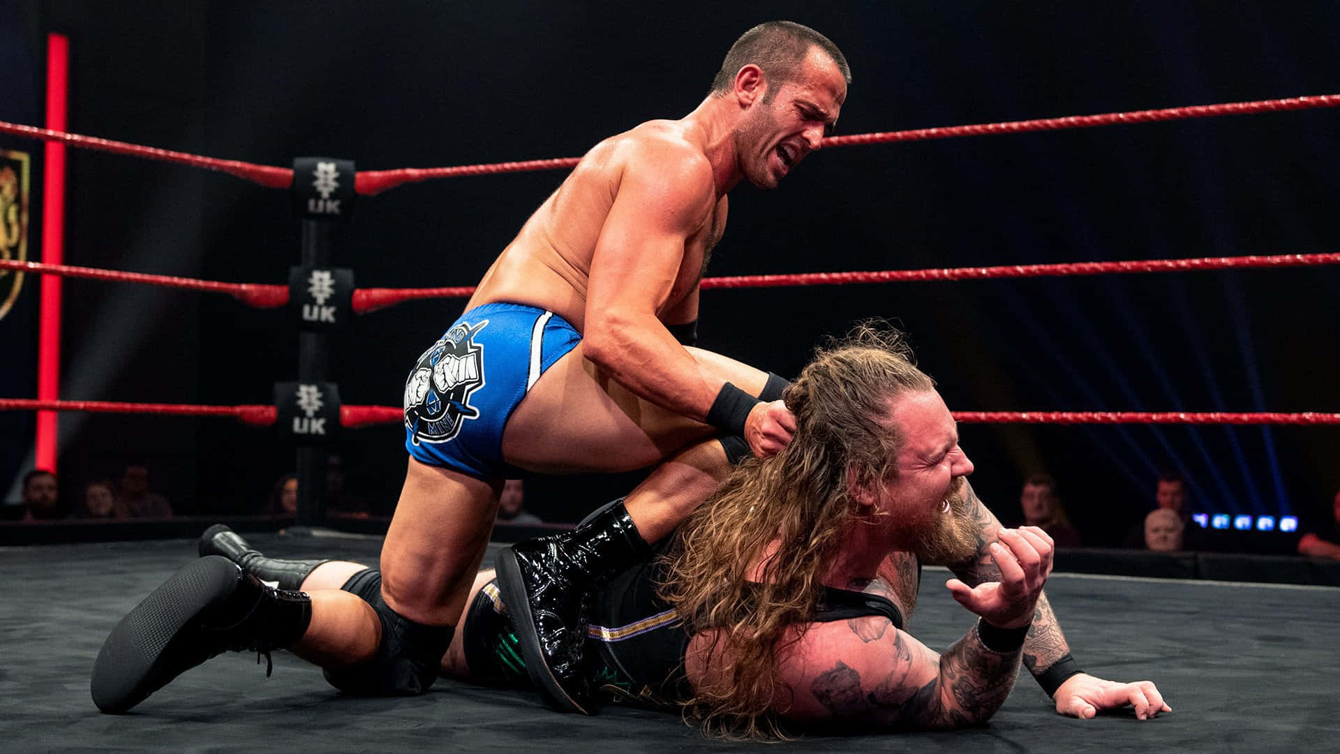Roderick Strong Against Wolfgang Background