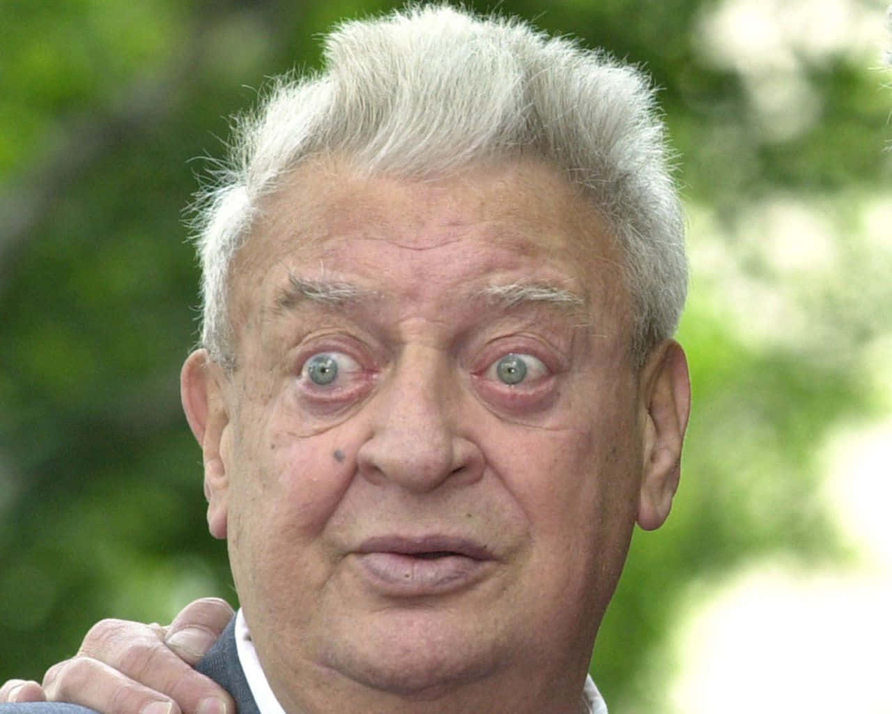Rodney Dangerfield With White Hair