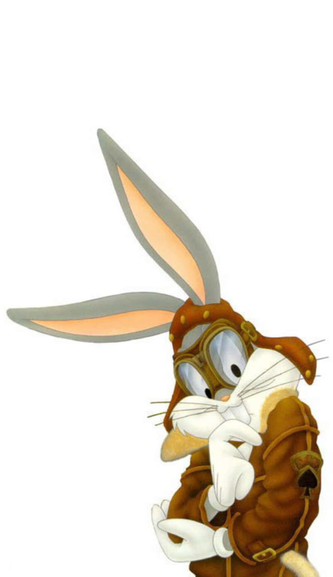 Roger Rabbit Pilot Outfit Background