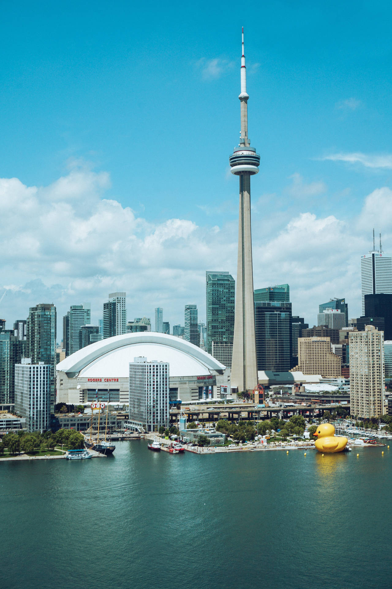 Rogers Centre And Cn Tower View