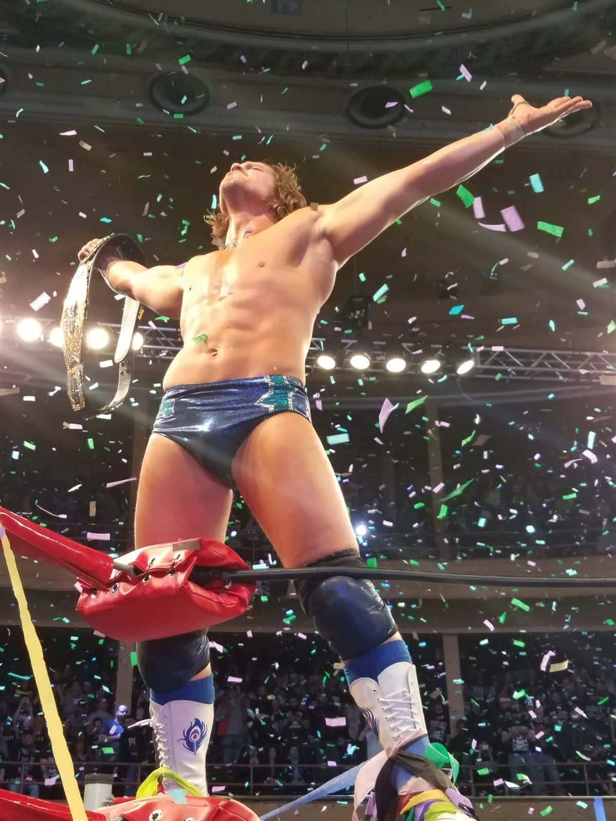 Roh World Television Champion Dalton Castle 2017 Match Background
