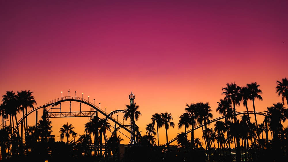 Roller Coaster And Palm Trees Background