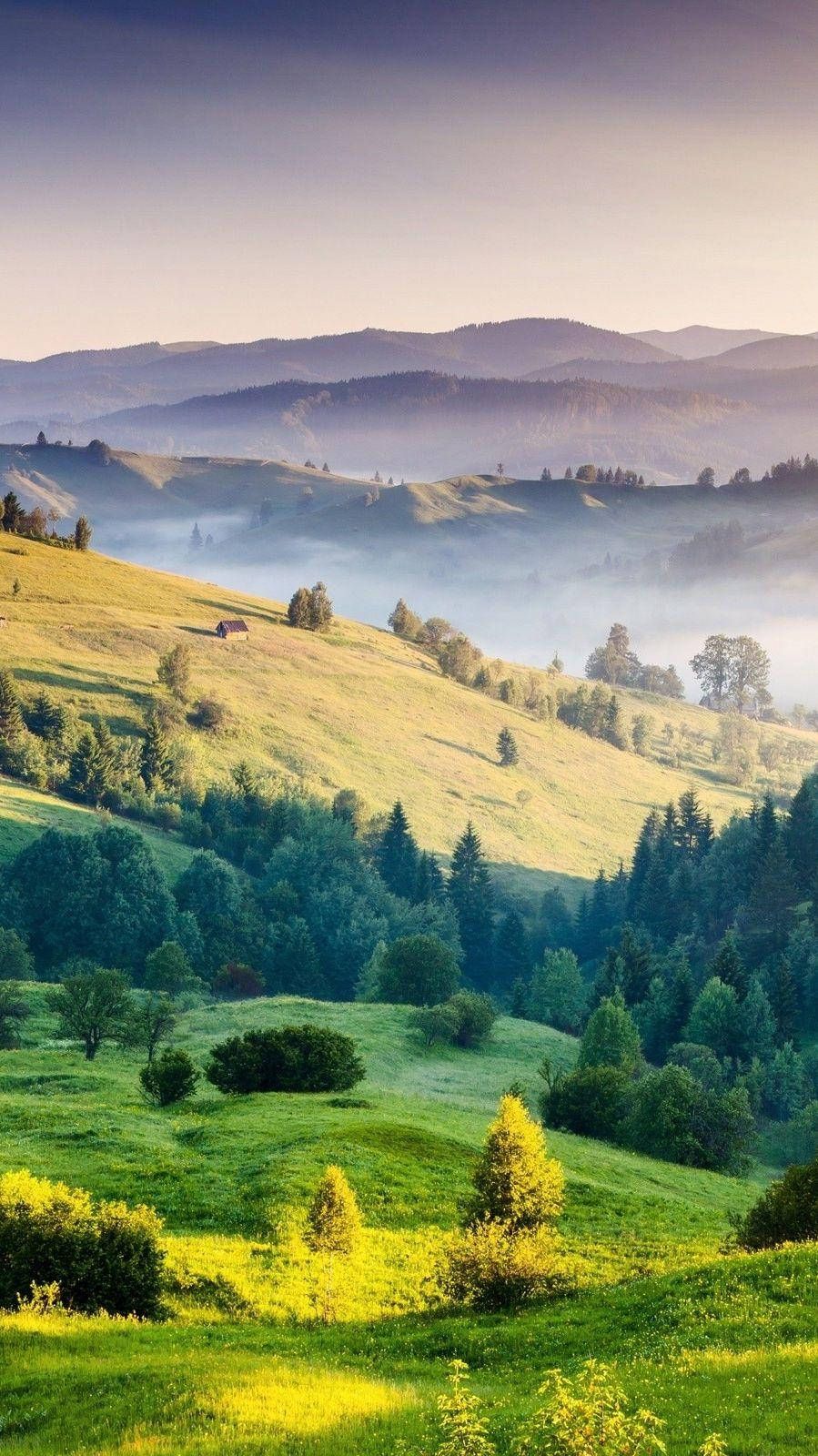 Rolling Hills Of Tuscany Phone Background