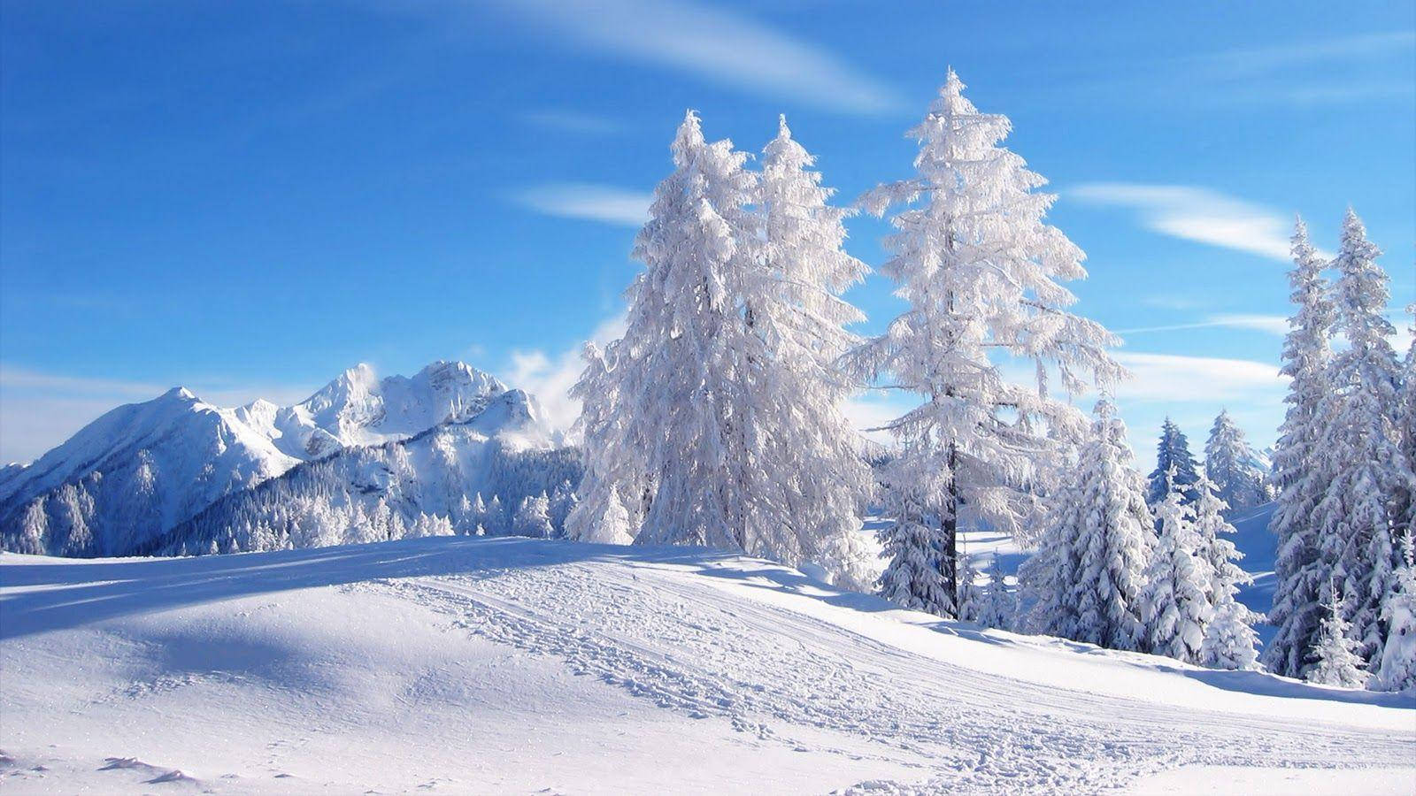 Romania Mountains Winter Scenery Background