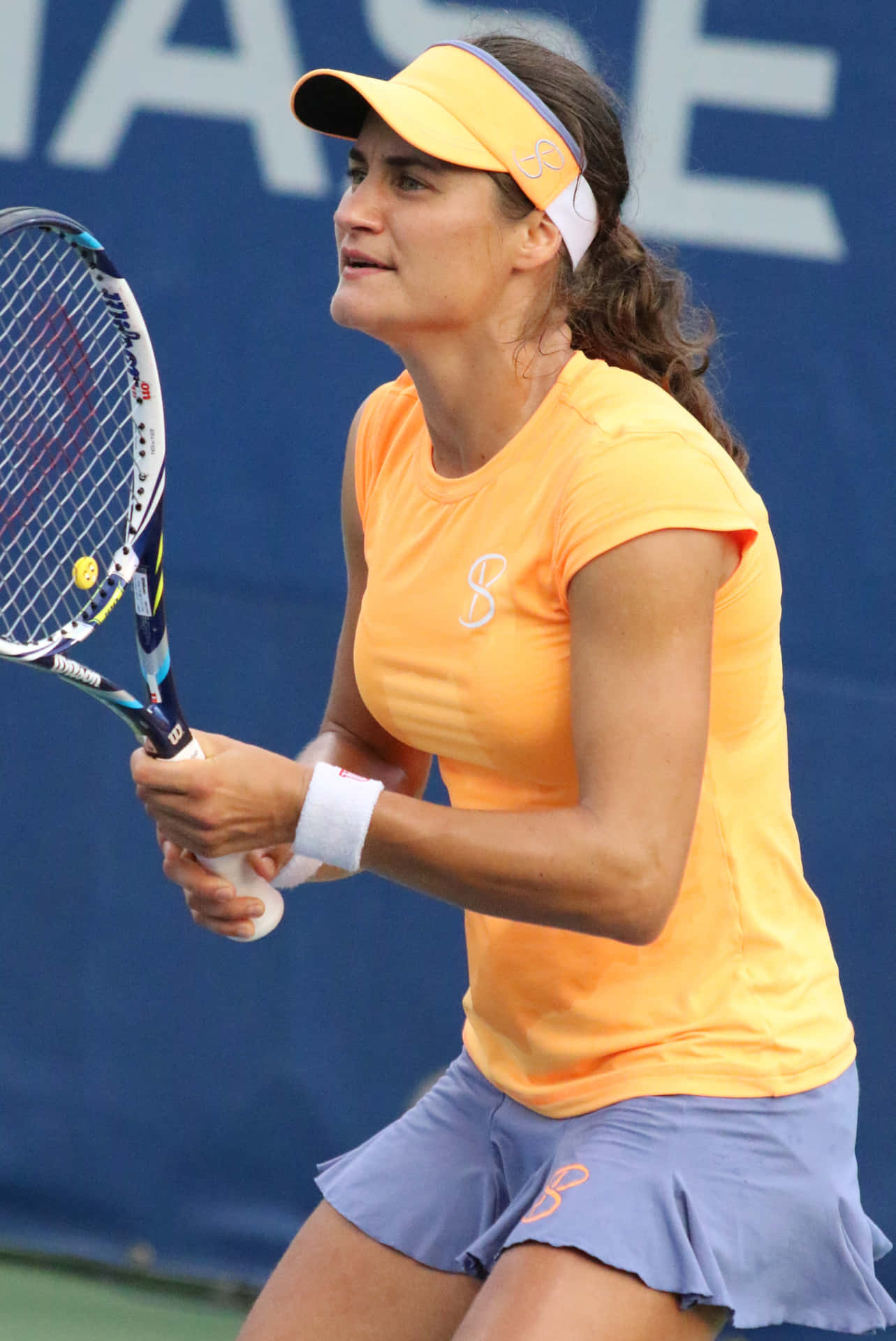 Romanian Tennis Star, Monica Niculescu Background