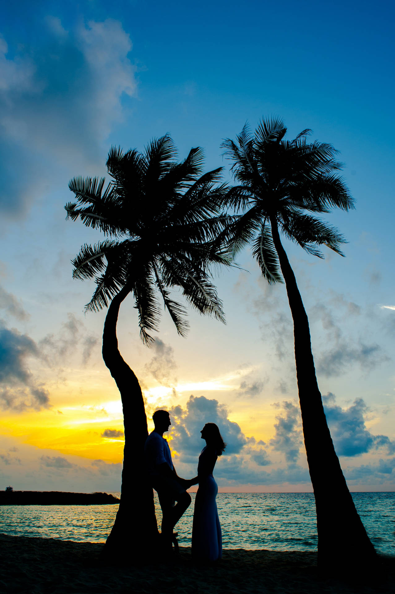 Romantic Couple By The Beach Palms Background