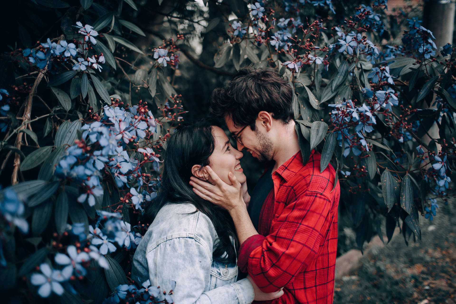Romantic Couple Touching Noses In Garden Background