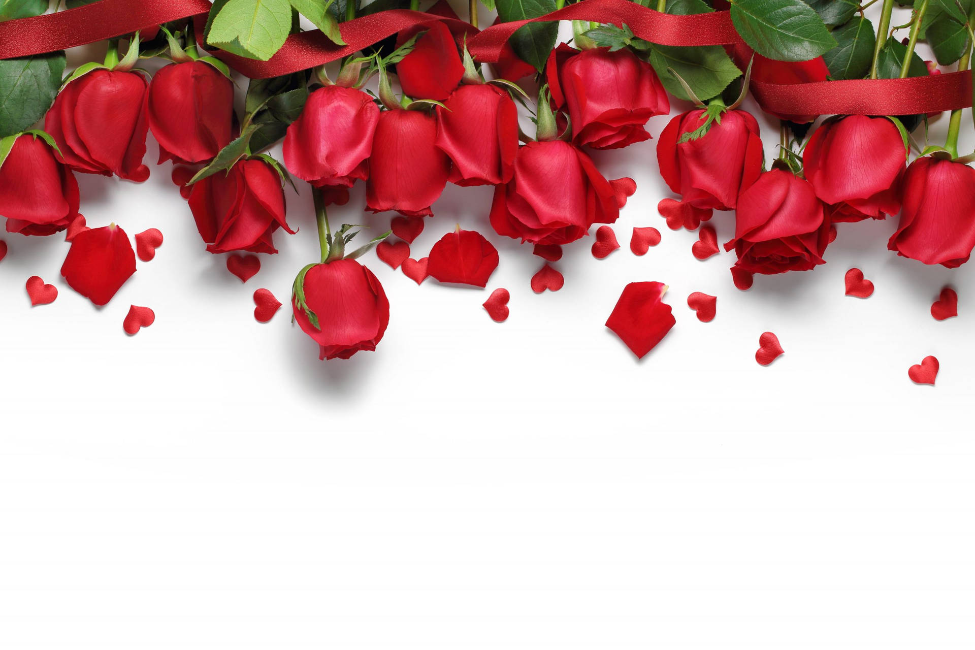 Romantic Love Flowers Of Fresh Roses Background