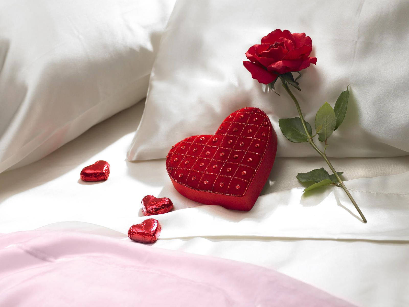 Romantic Love Flowers On Pillow Background