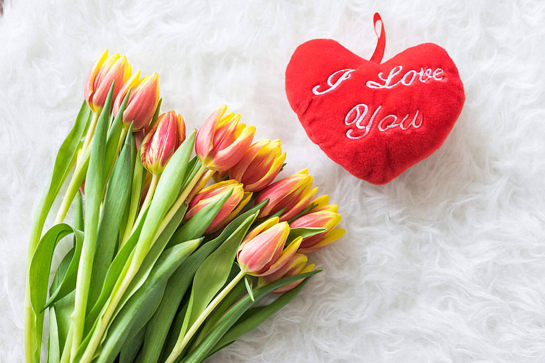 Romantic Love Flowers Tulips And Pillow Background