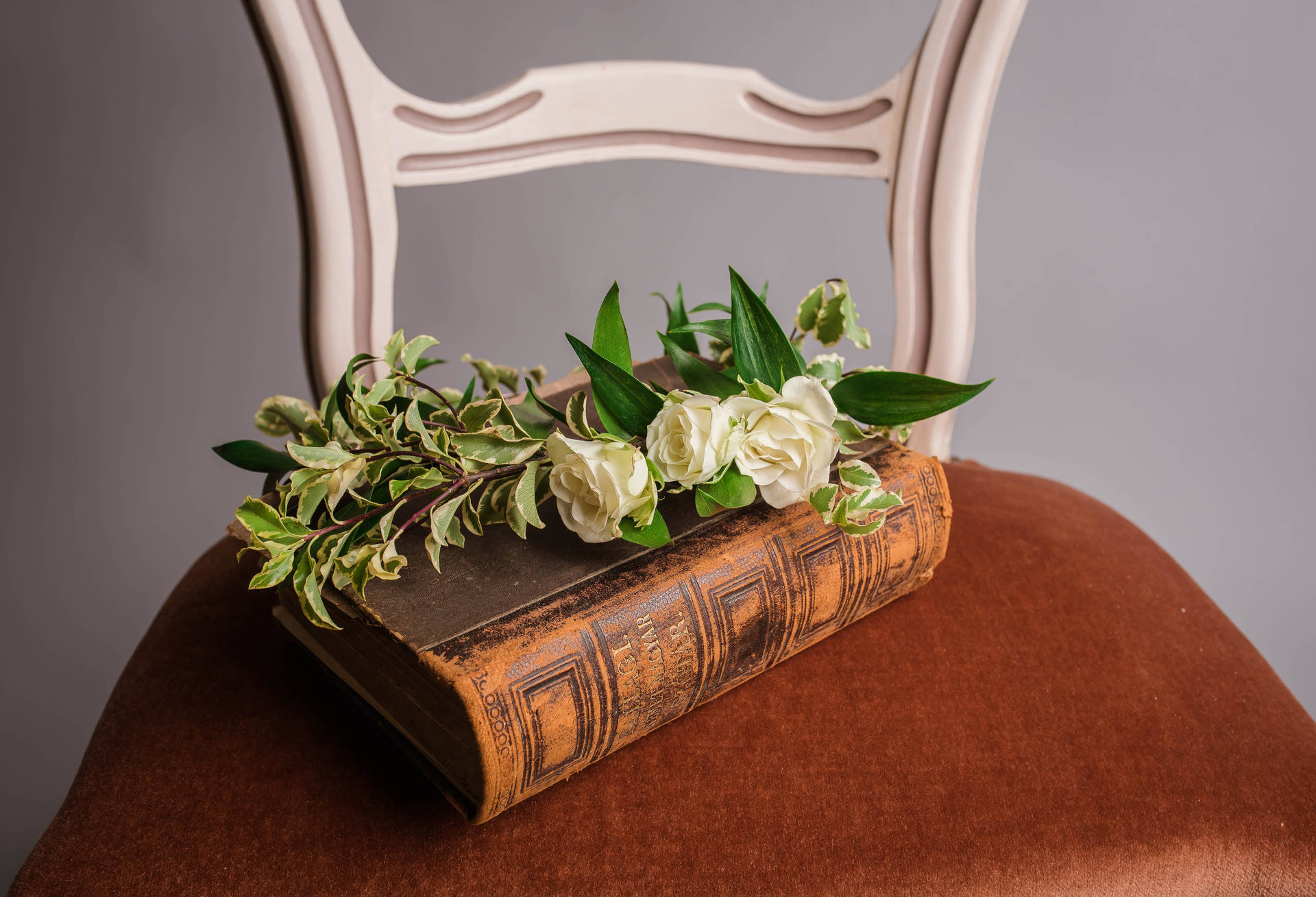 Romantic Love Flowers White Roses On Book Background