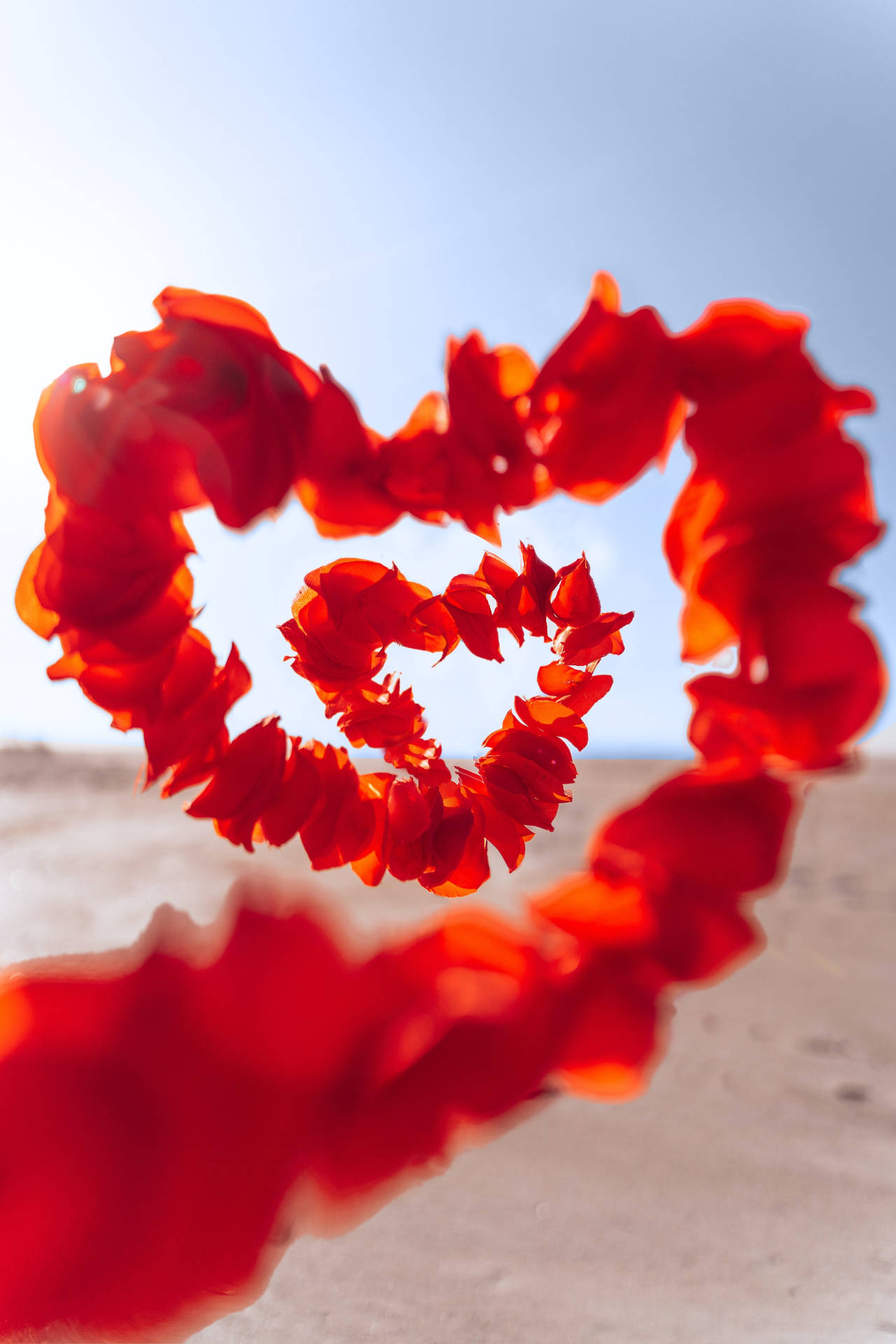 Romantic Love Heart Petals Background