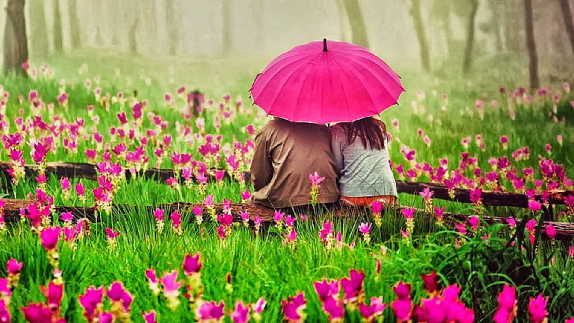 Romantic Love In A Flower Garden Background