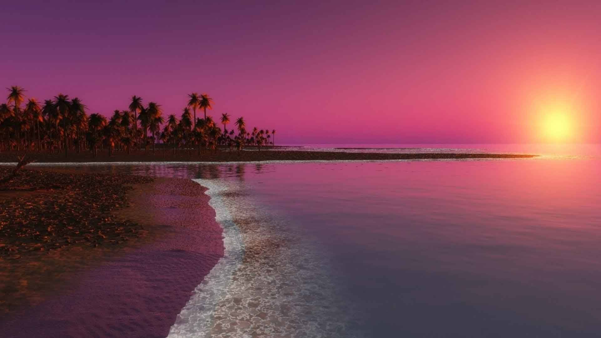 Romantic Purple And Pink Sunrise Nature