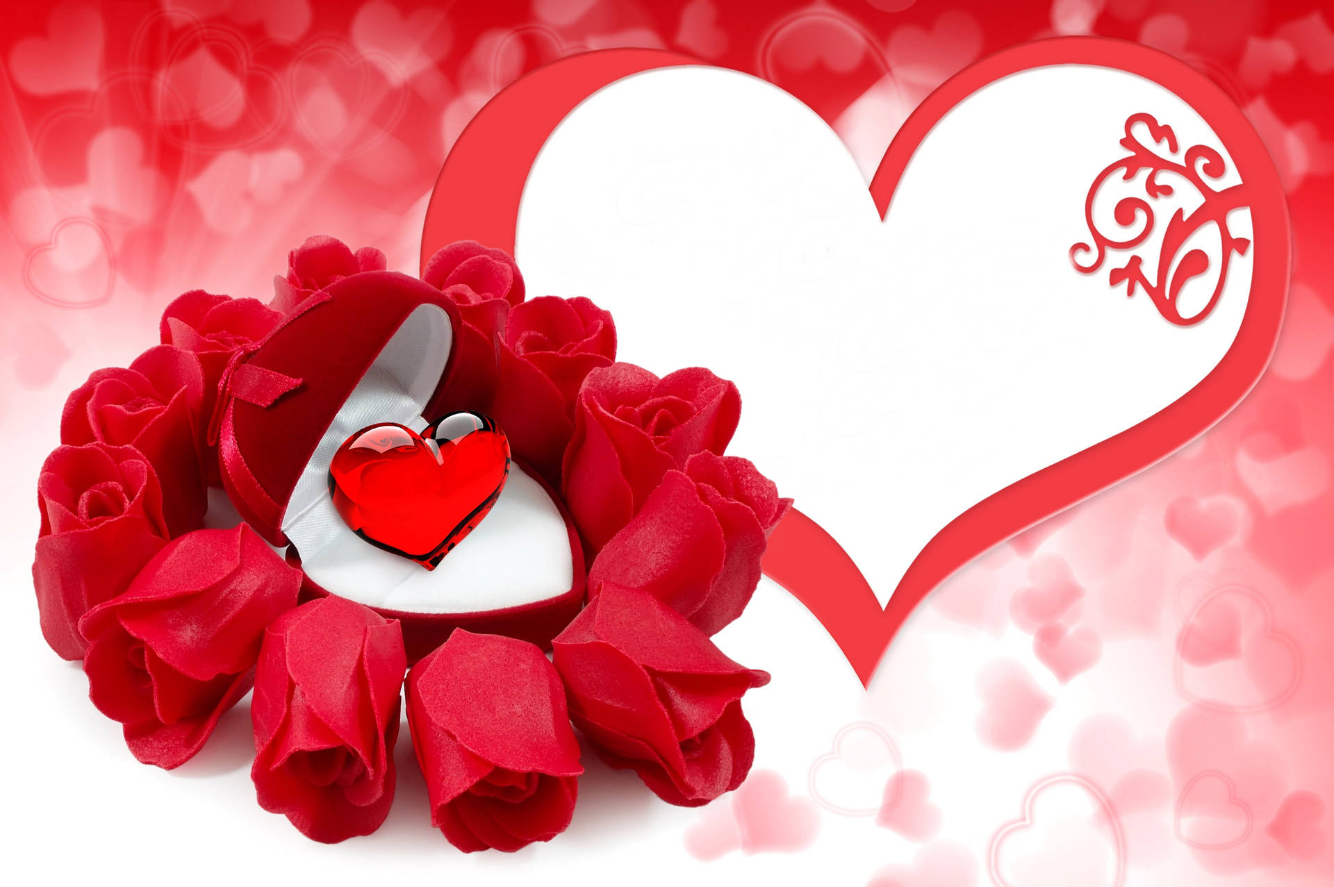 Romantic Rose And Velvet Red Box Background