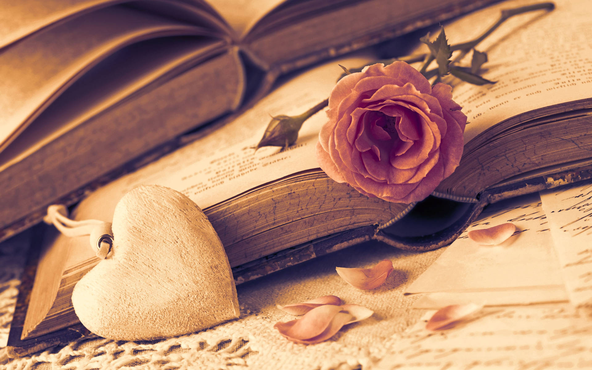 Romantic Rose In Between Pages Background