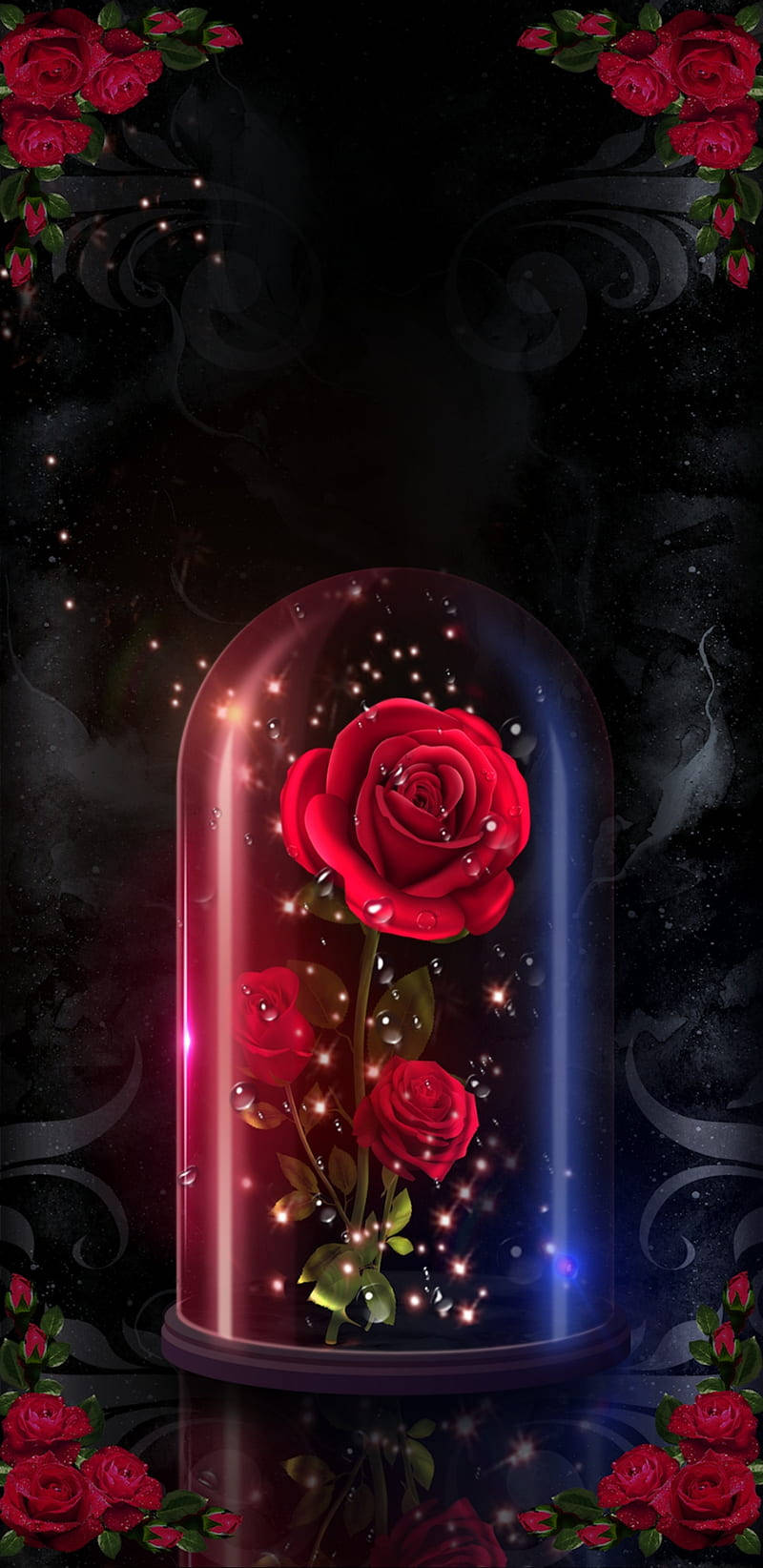 Romantic Rose Inside Glass Container Background