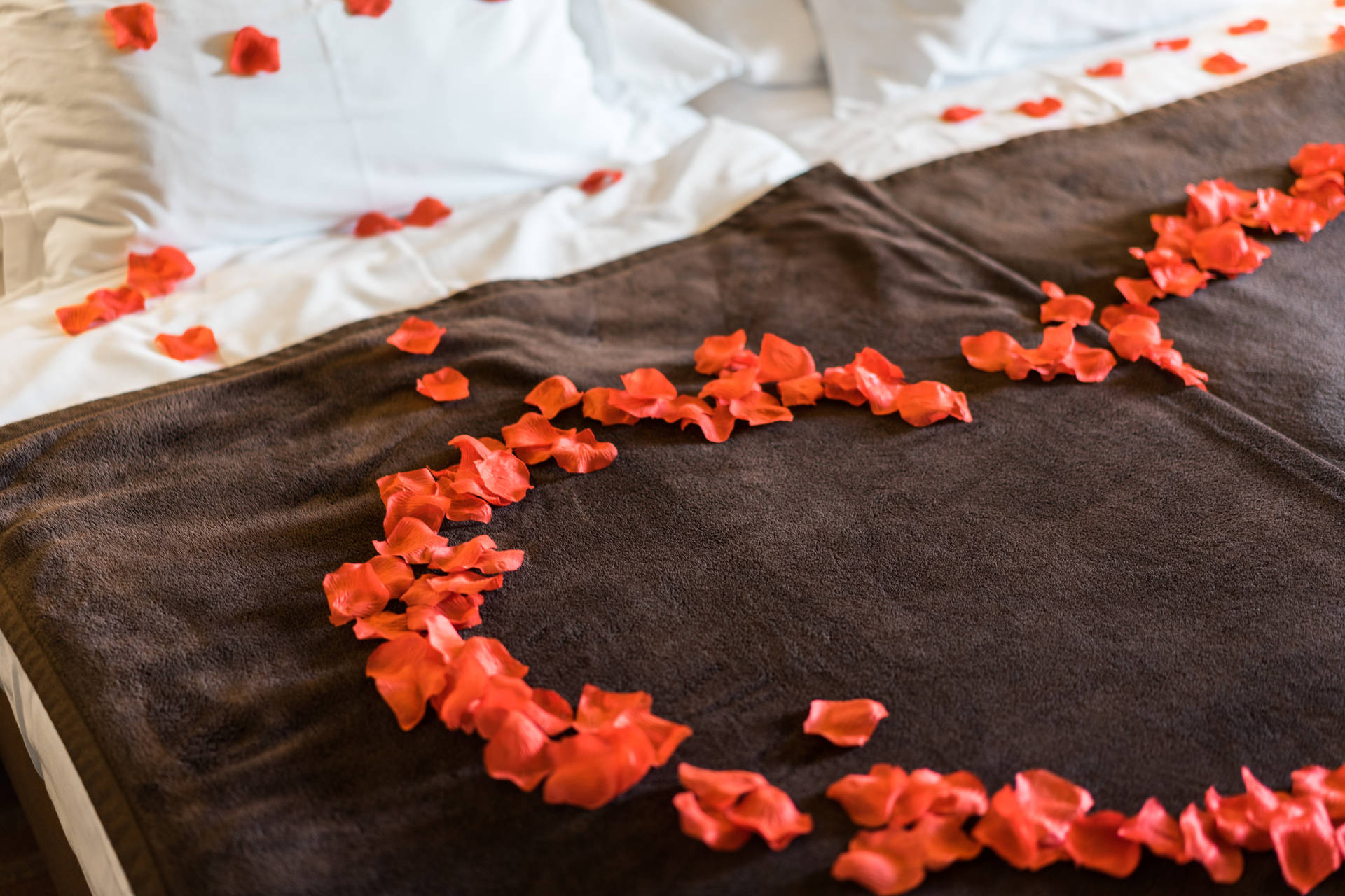 Romantic Rose Petals On The Bed Background