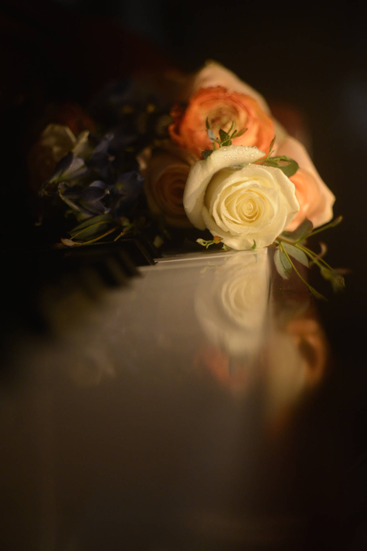 Romantic Roses On Piano Keys Background
