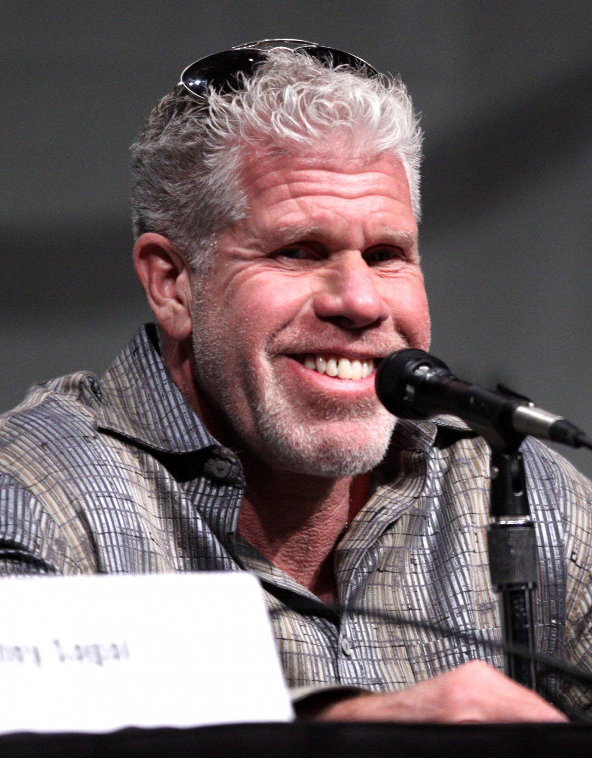 Ron Perlman During A Conference Background