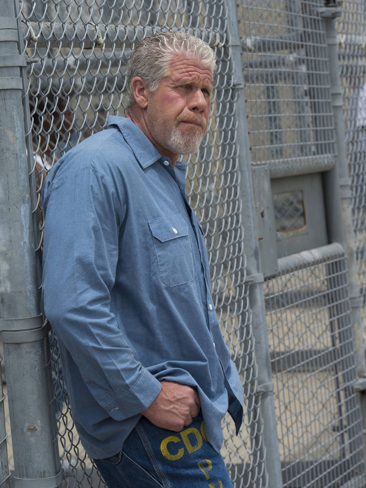 Ron Perlman Leaning On A Metal Fence Background