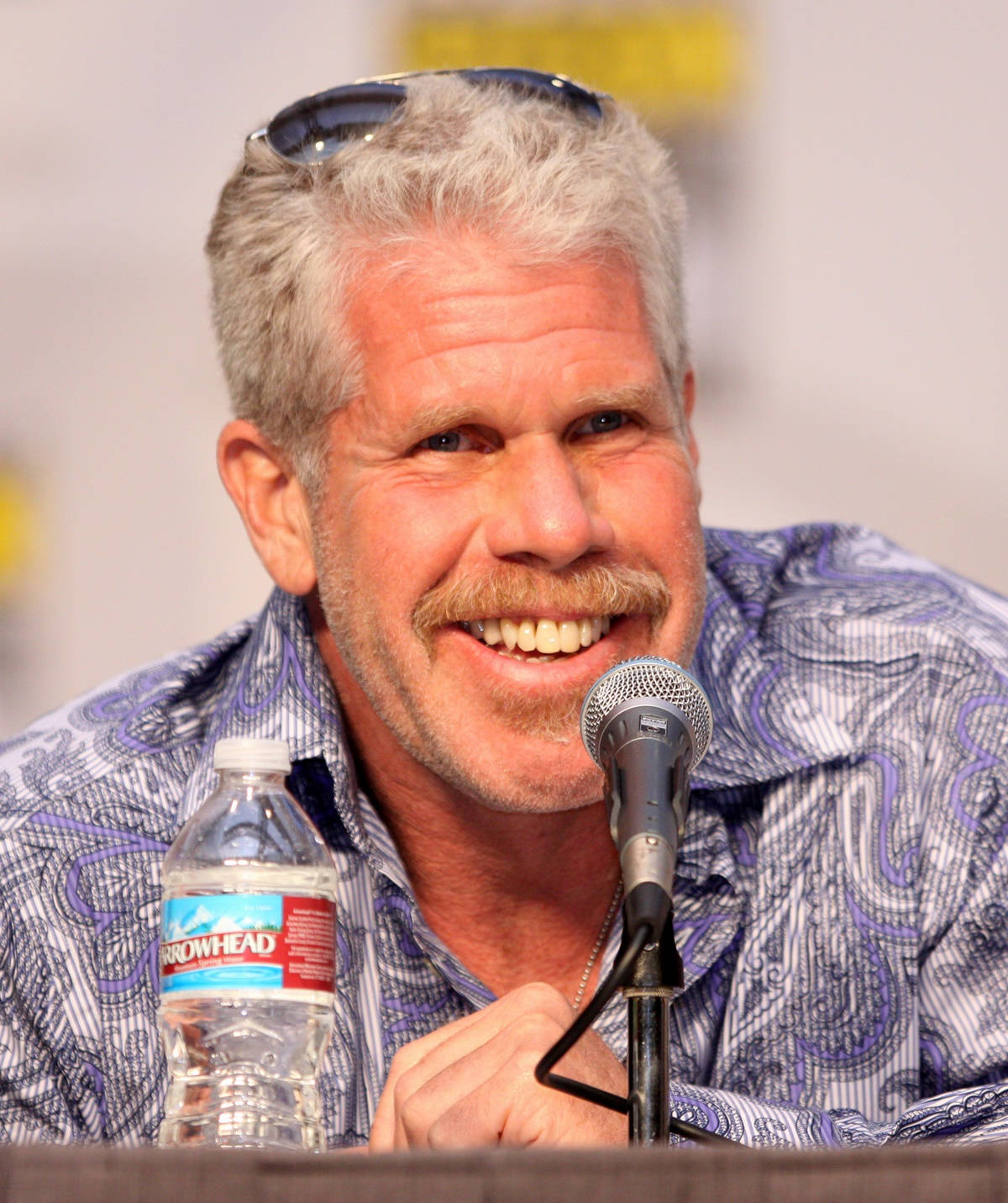 Ron Perlman On A Fan Meeting