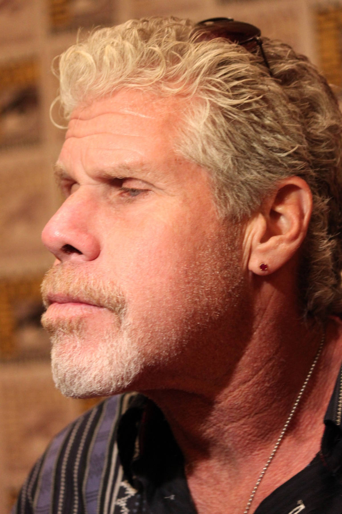 Ron Perlman Sideview Angle