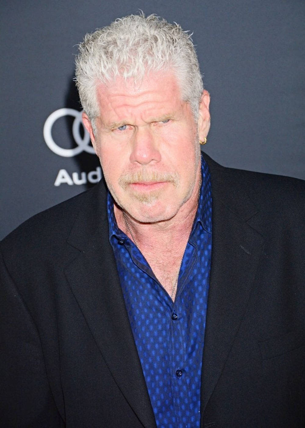 Ron Perlman White Skin And Frosty Hair Background