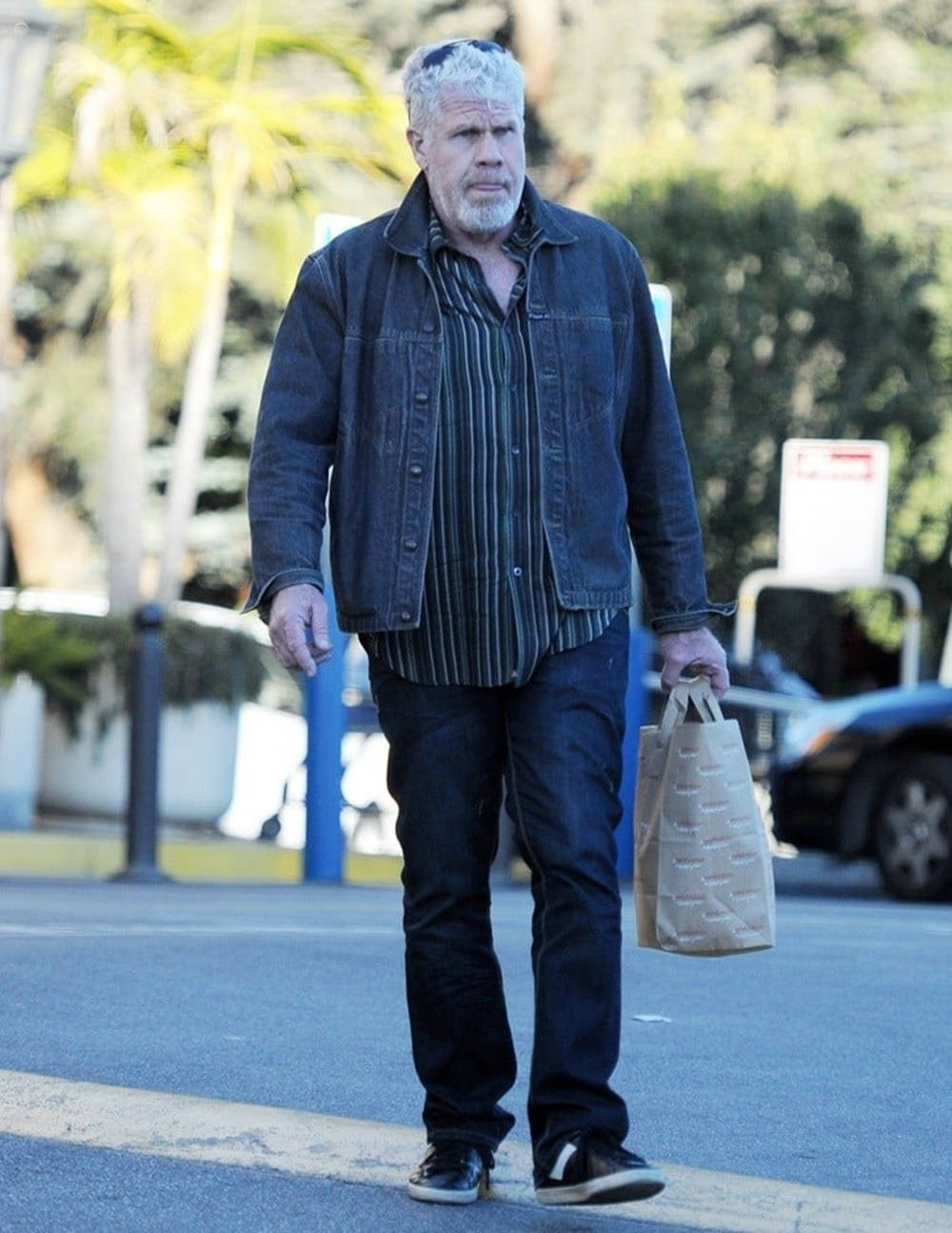 Ron Perlman Whole Body Shot