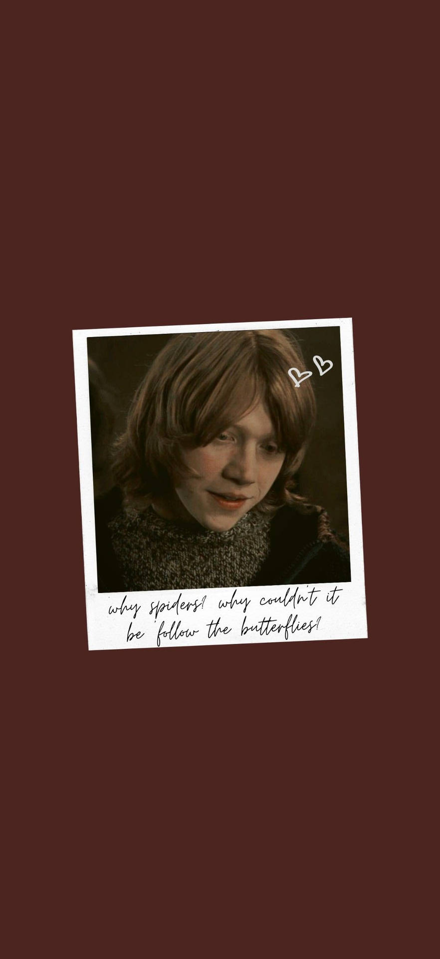Ron Weasley, Hogwarts Student Background