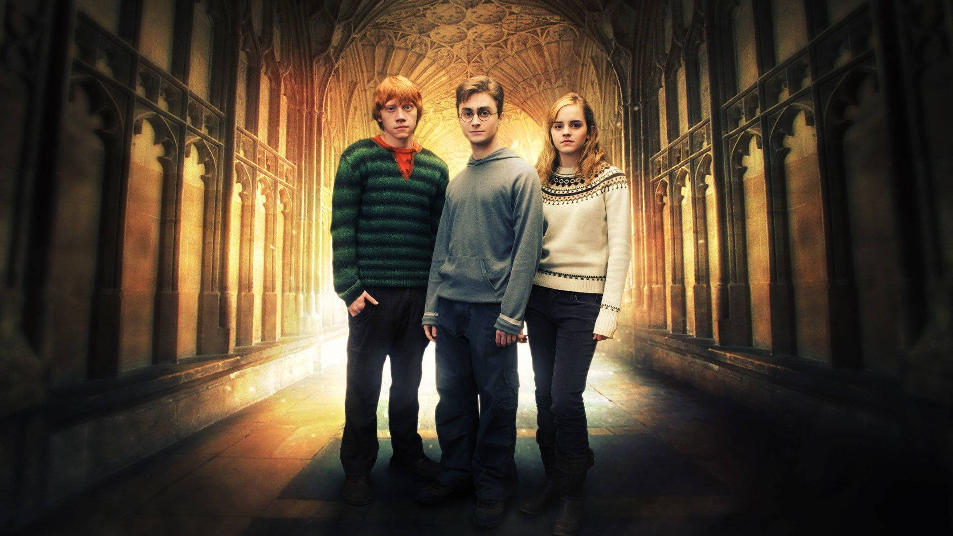 Ron Weasley With Harry Potter And Hermione Granger Background