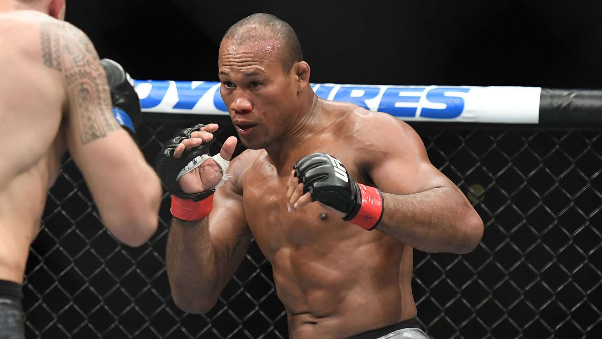 Ronaldo Souza Brazilian Mixed Martial Artist Background