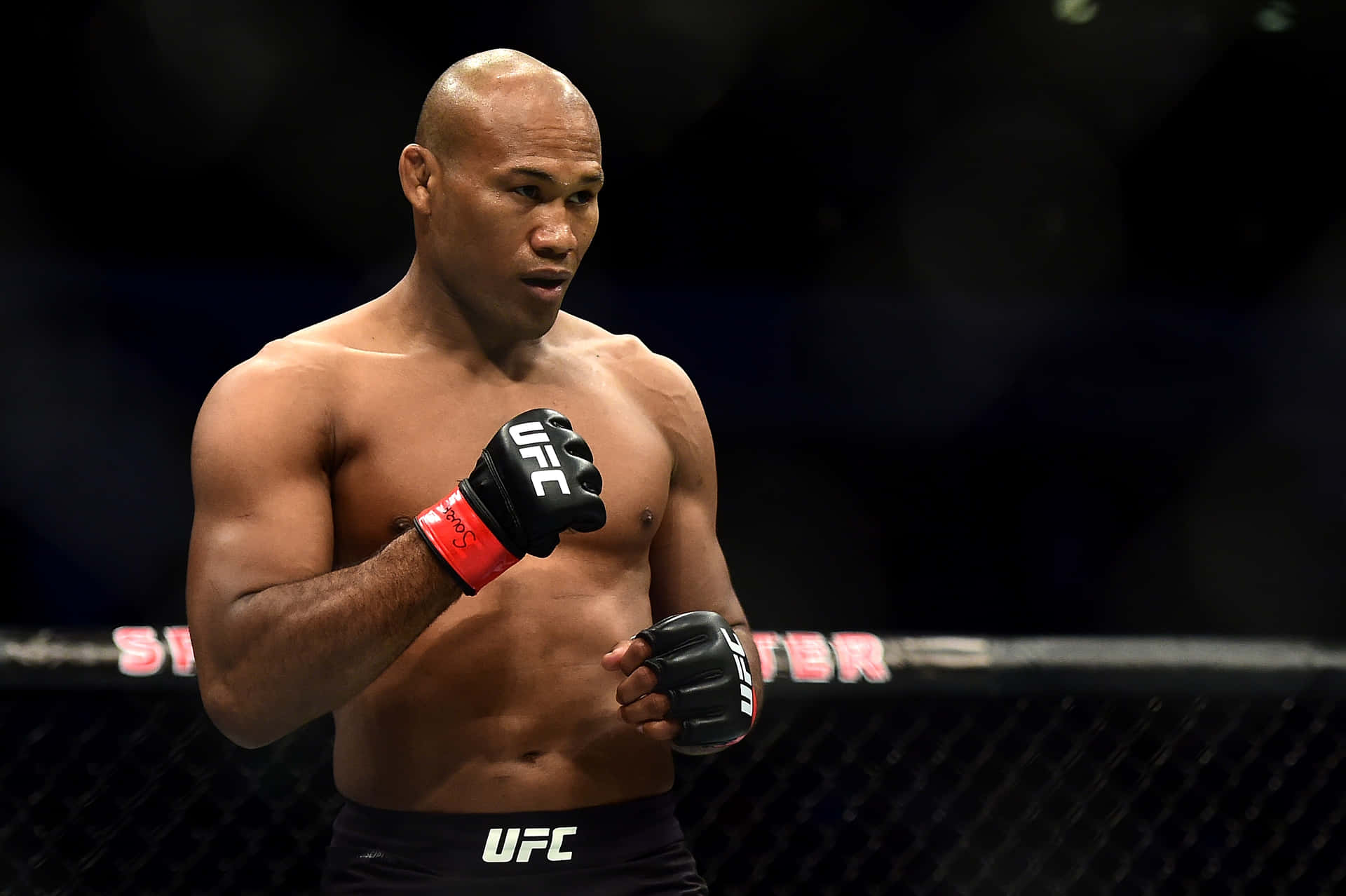 Ronaldo Souza Brazilian Mixed Martial Artist Background