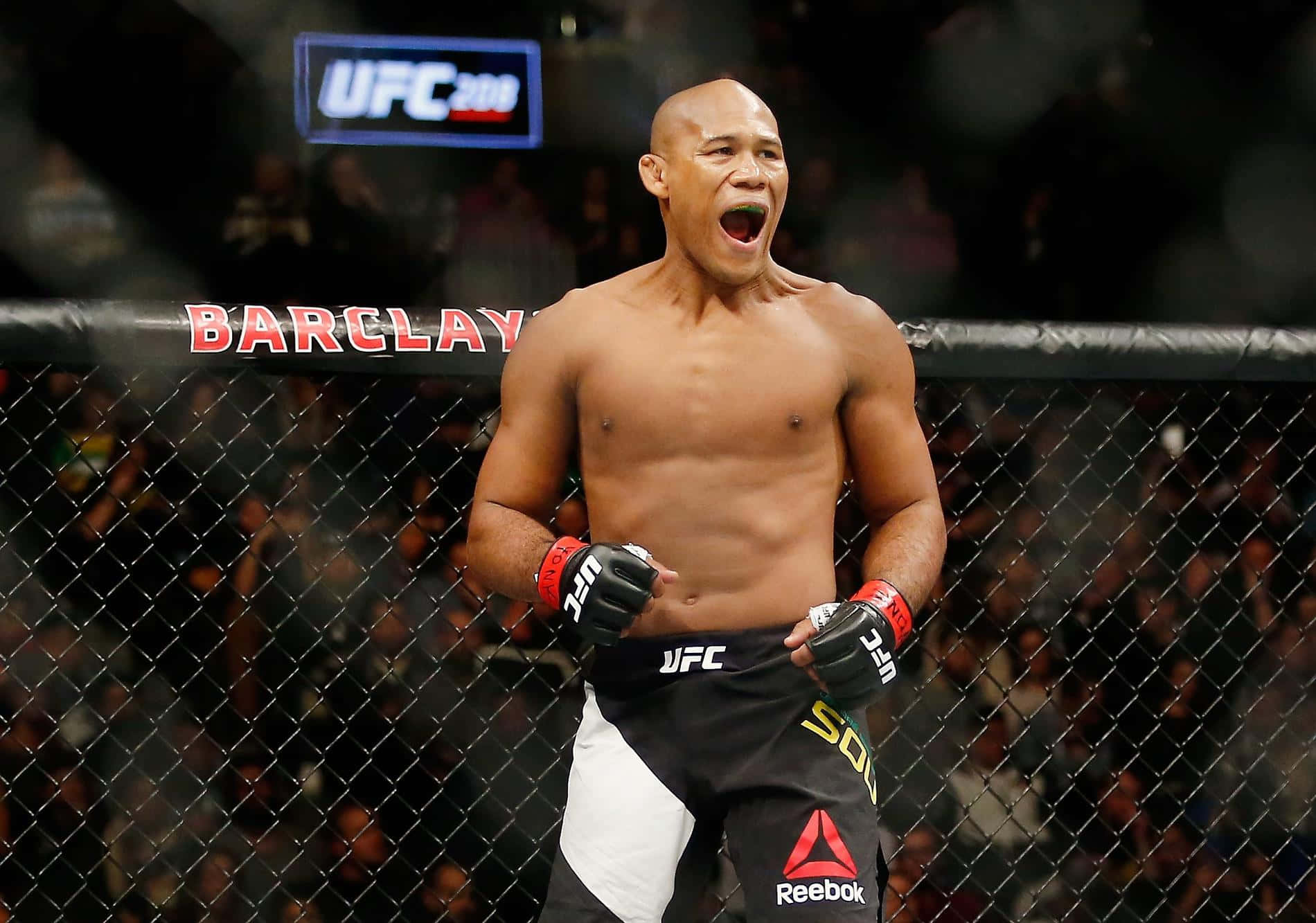 Ronaldo Souza Brazilian Ufc Fighter Background