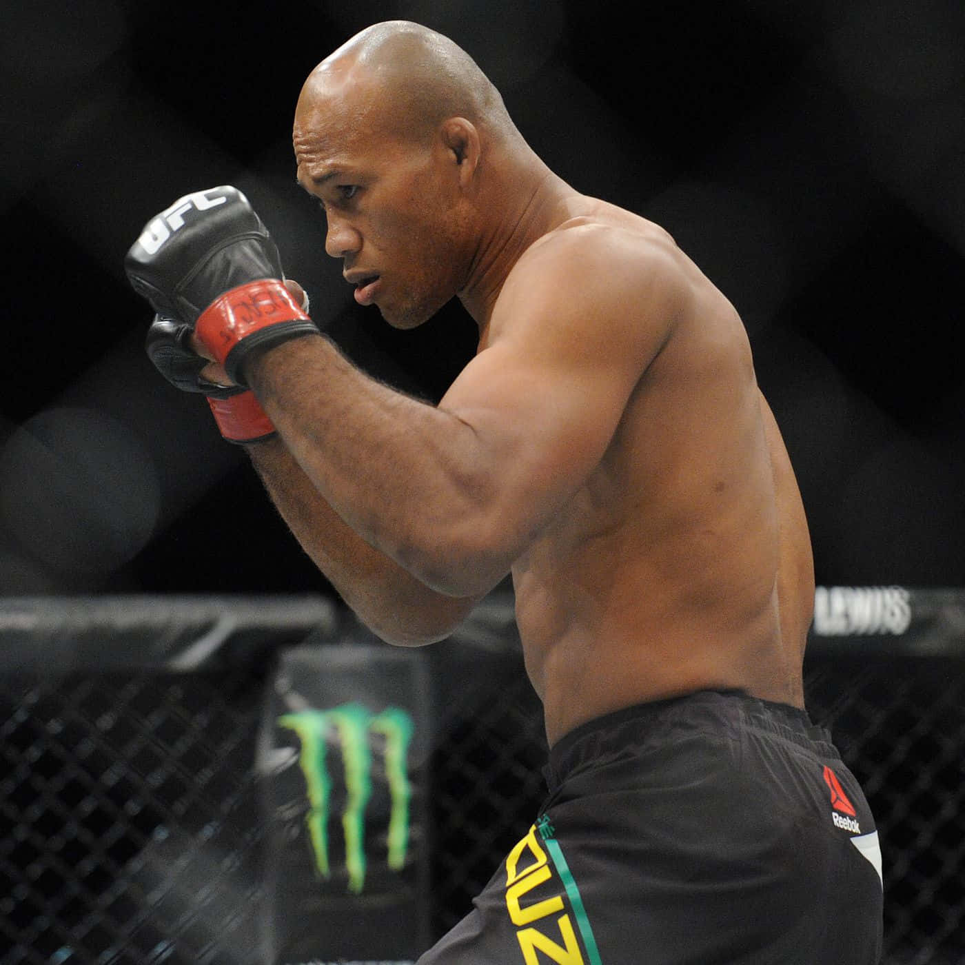 Ronaldo Souza Brazilian Ufc Martial Artist Background