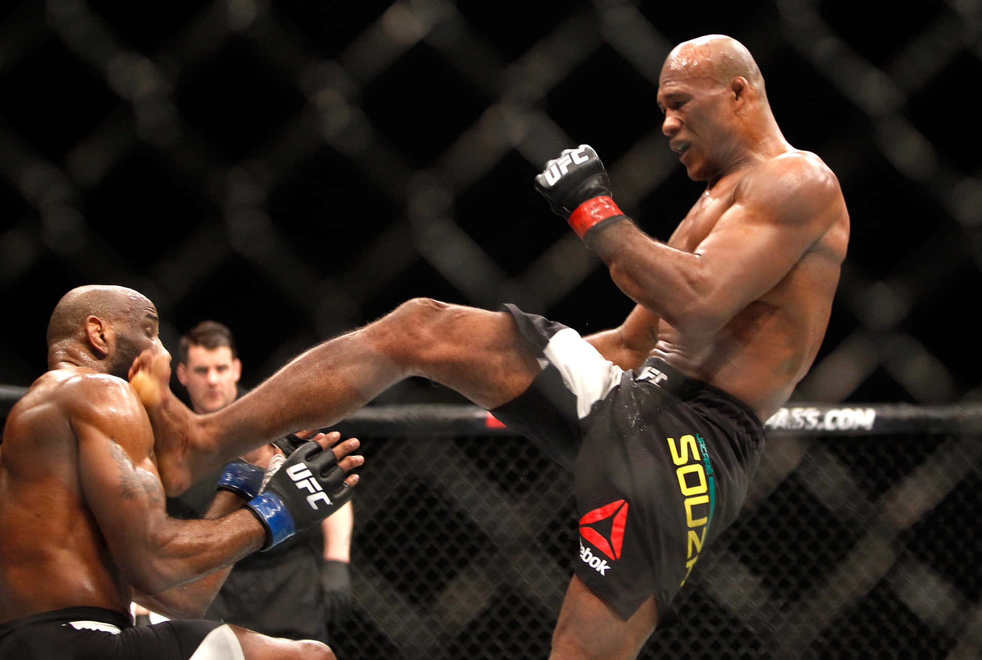 Ronaldo Souza Kicking Derek Brunson Background