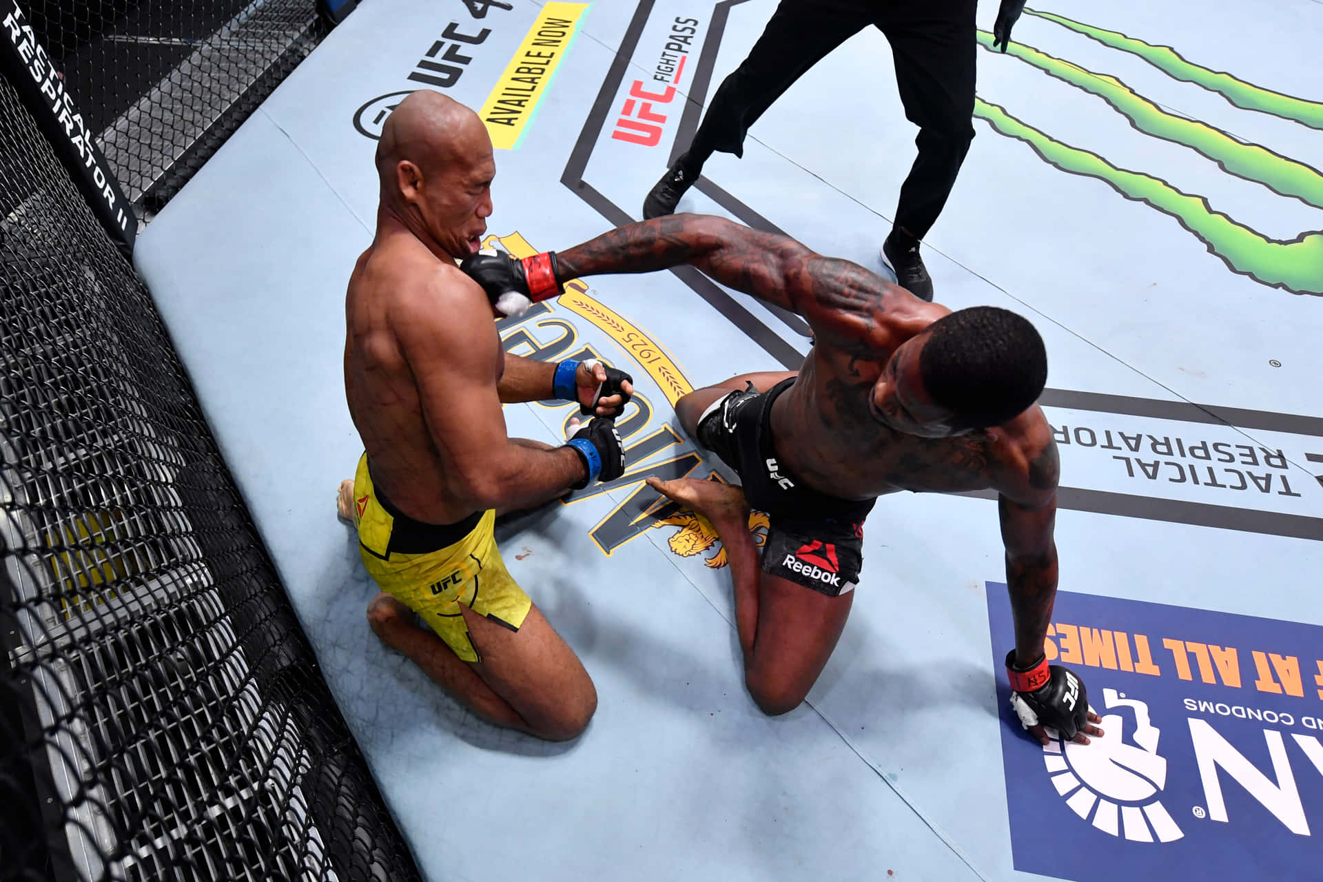 Ronaldo Souza Receiving Kevin Holland Right Hook Background