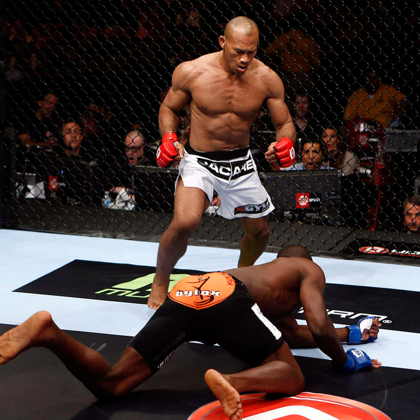 Ronaldo Souza Stands Over Derek Brunson Background