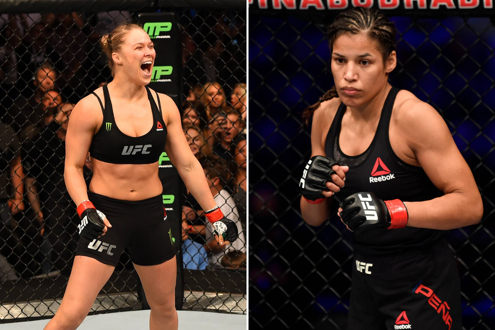 Ronda Rousey And Julianna Peña Background