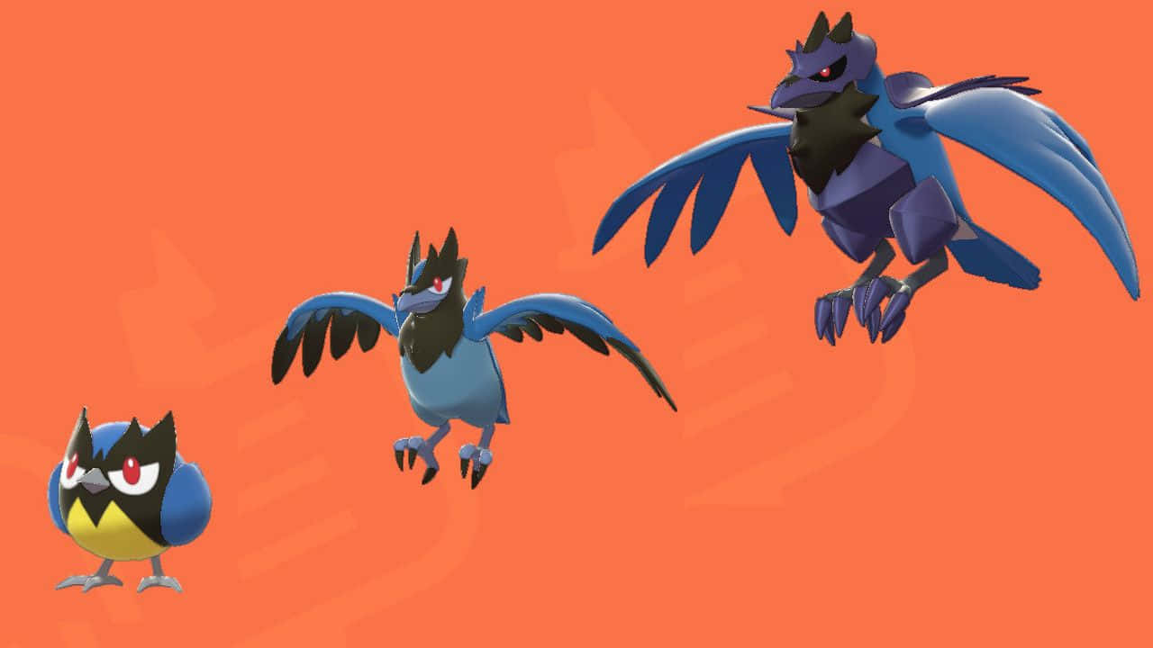 Rookidee Corvisquire And Corviknight Background