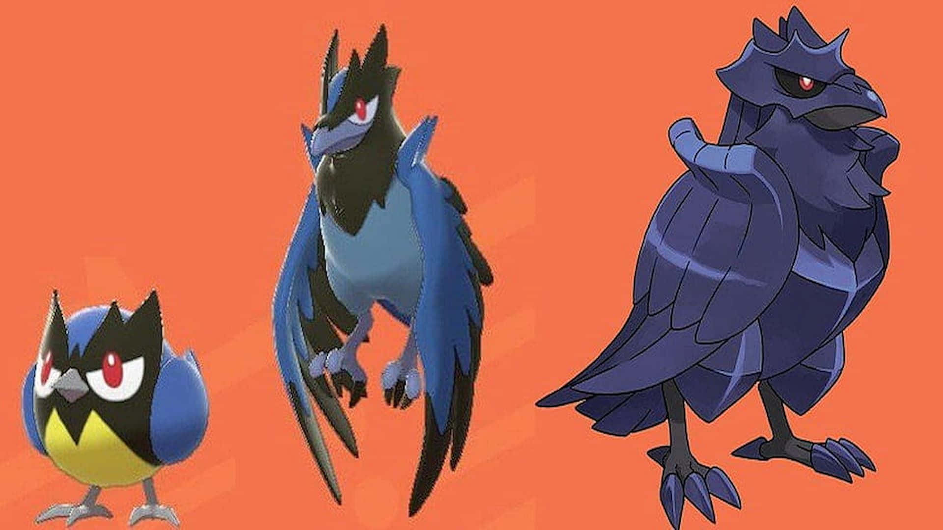 Rookidee Corvisquire And Corviknight Orange Hd Background