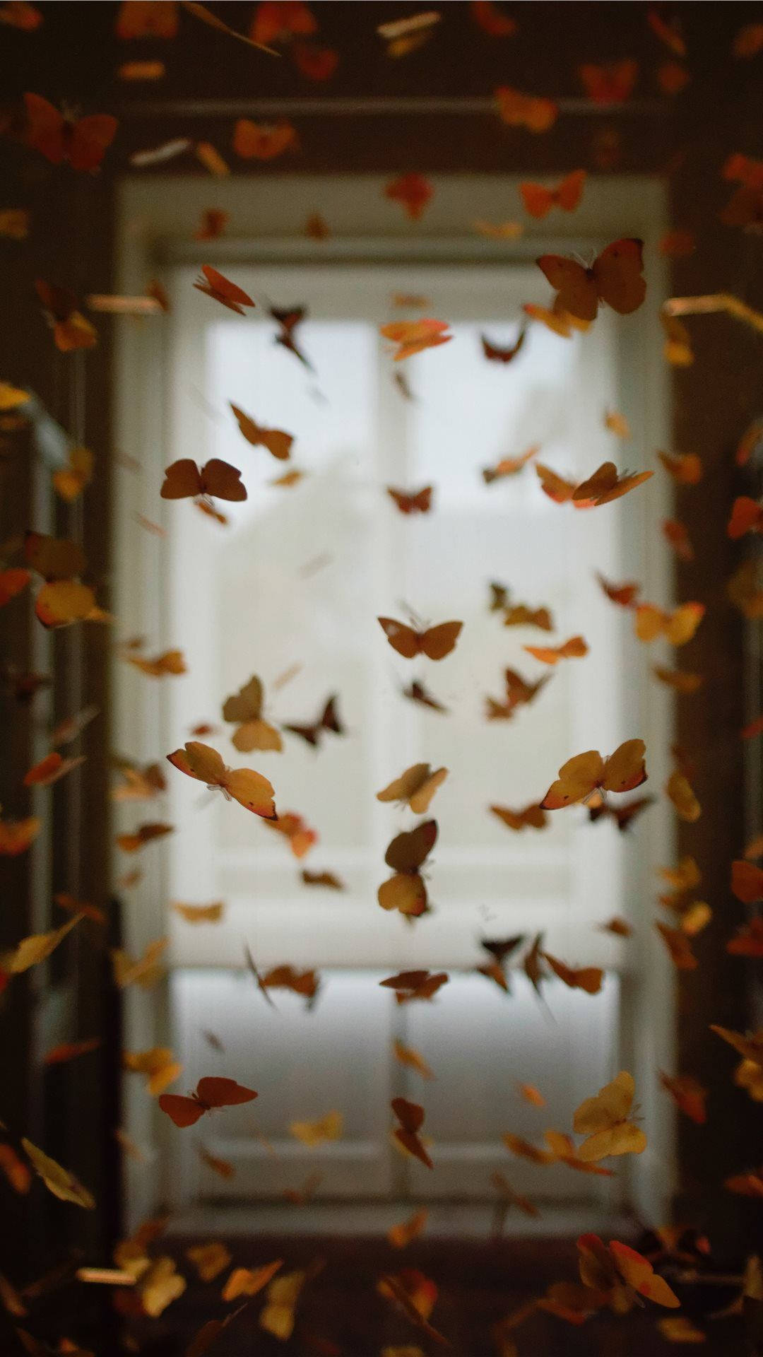 Room Filled With Butterflies Background