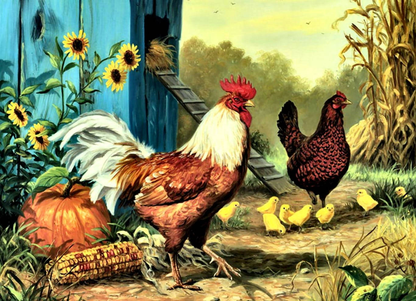 Rooster And Chicken Animals On A Farm Background