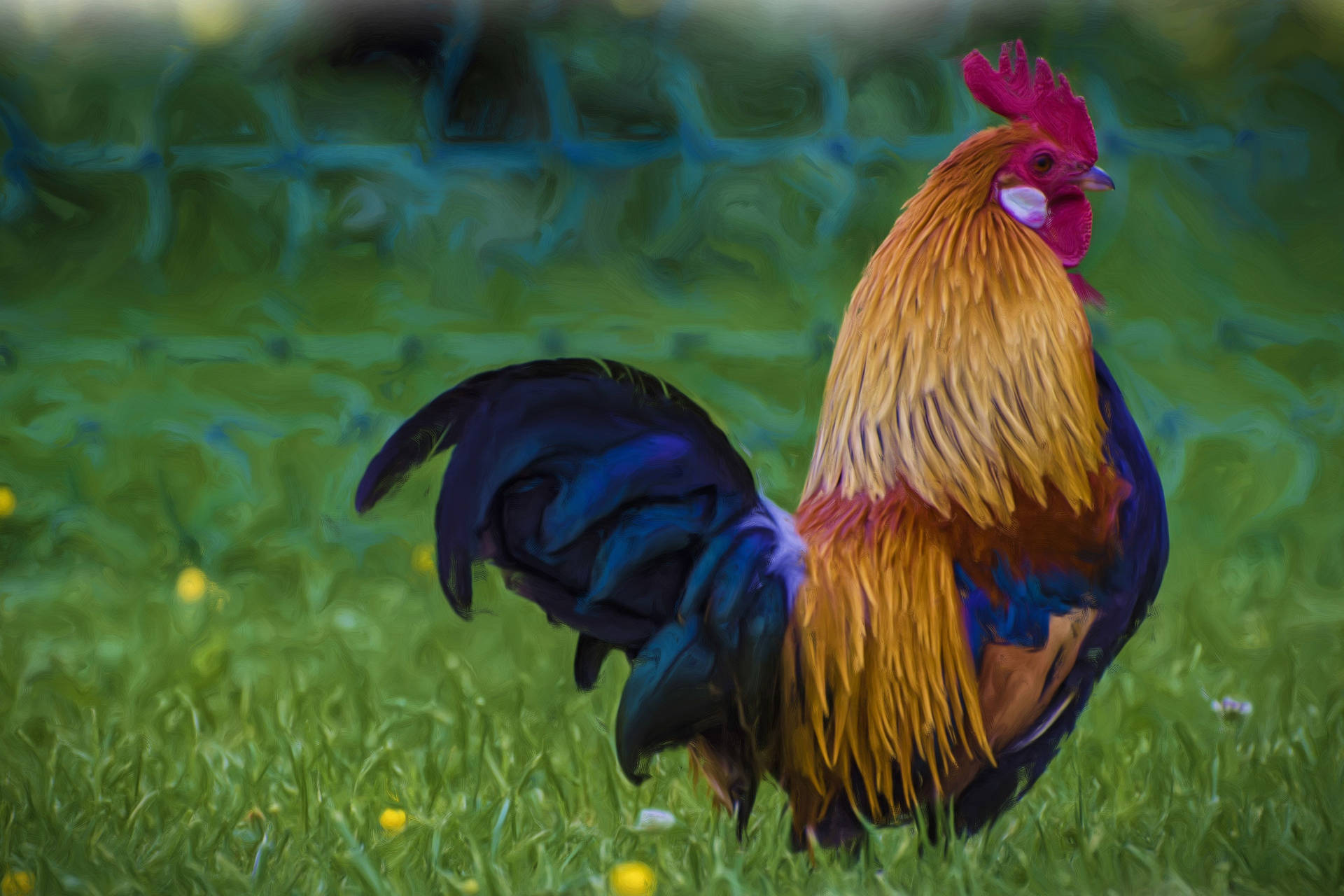 Rooster In Floral Grass Background