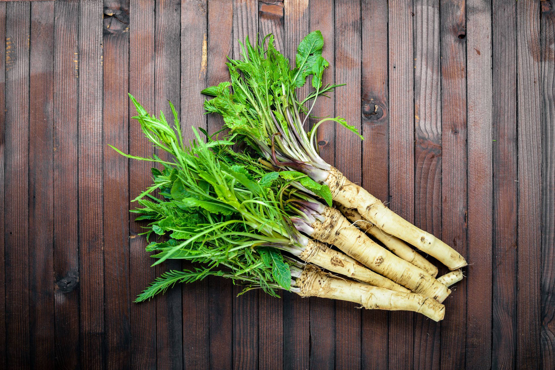 Root Crop Horseradish In Wood Background