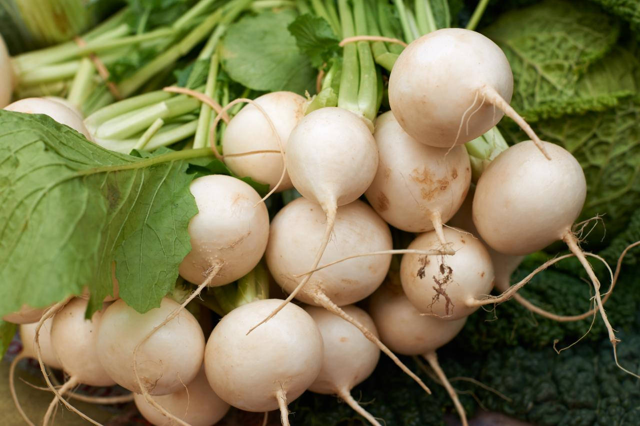 Root Crop White Turnips Background