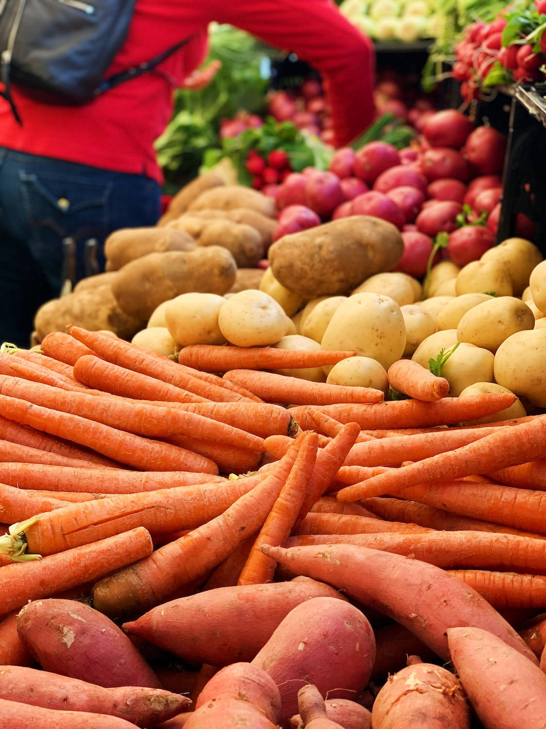 Root Crops Sweet Potato