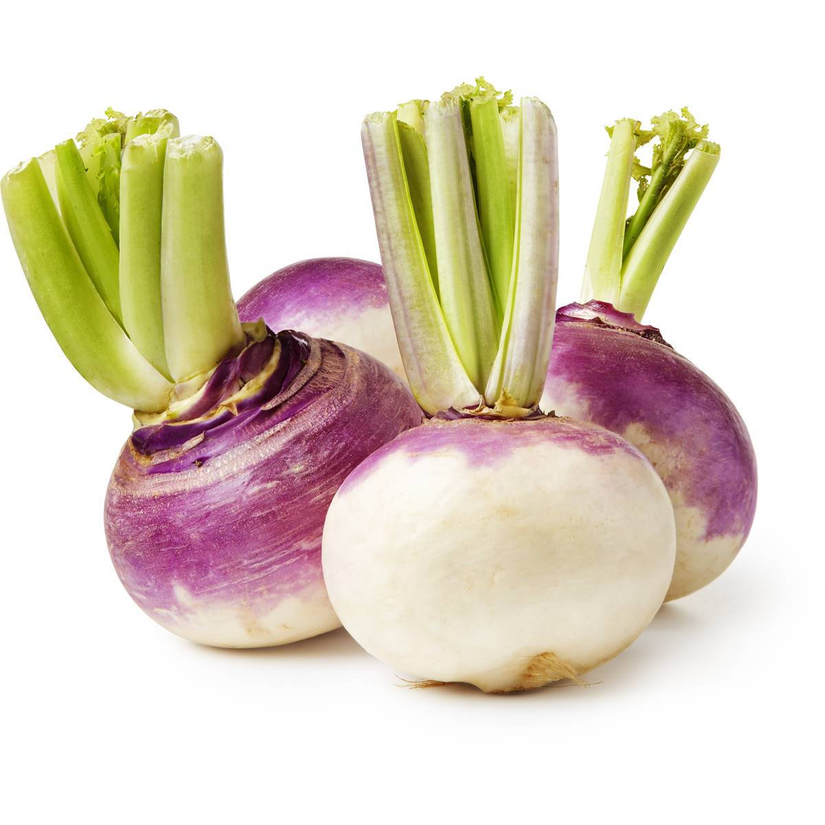 Root Vegetable Turnip